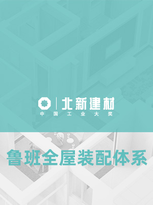 北新建材折页设计